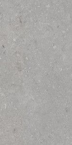 Gres na podłogę 60x120 cm szary mat A4H1096 Shellstone Grigio