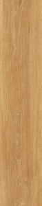 Gres na podłogę drewnopodobny 23x120 matowy, A4H502 Origen Natural