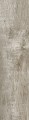 Gres Cisa Blendwood Ash 30x120