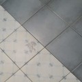 Terakota Vives 1900 Gris 20x20 3